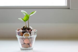 Image of a see through plant pot, with money, and a plant growing out.